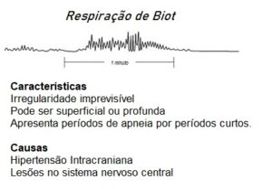 Respiração De Kussmaul, Cheyne-Stokes E Biot - Quais As Diferenças?