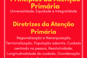 Quais são os princípios da atenção primária à saúde